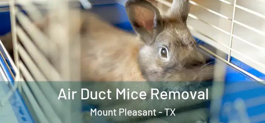 Air Duct Mice Removal Mount Pleasant - TX
