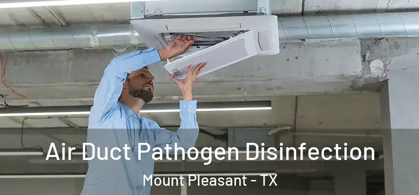  Air Duct Pathogen Disinfection Mount Pleasant - TX