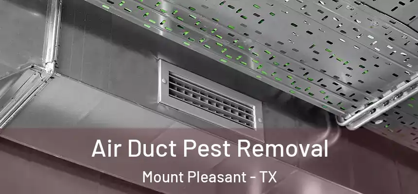 Air Duct Pest Removal Mount Pleasant - TX