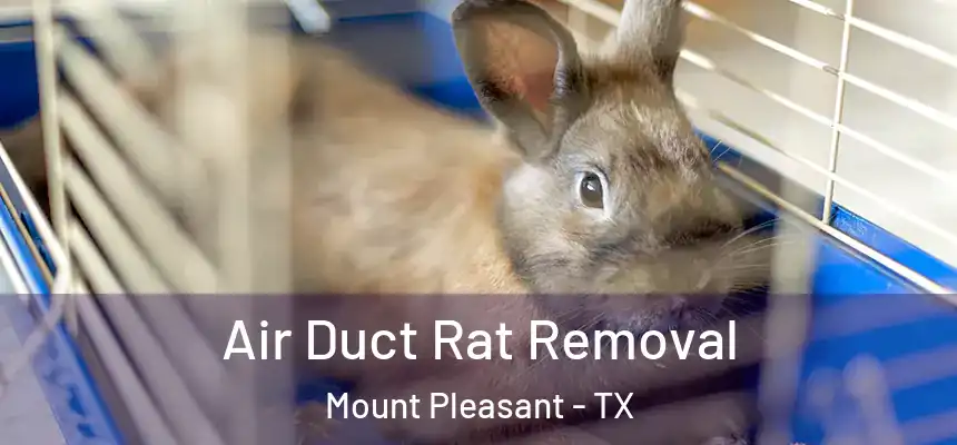 Air Duct Rat Removal Mount Pleasant - TX