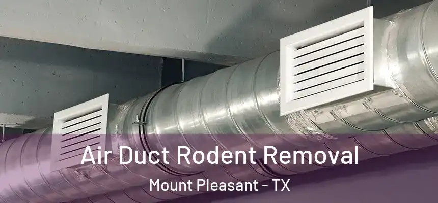  Air Duct Rodent Removal Mount Pleasant - TX