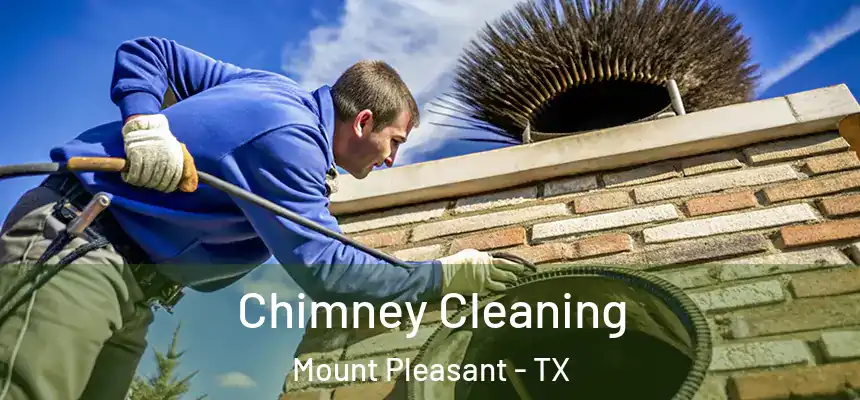  Chimney Cleaning Mount Pleasant - TX