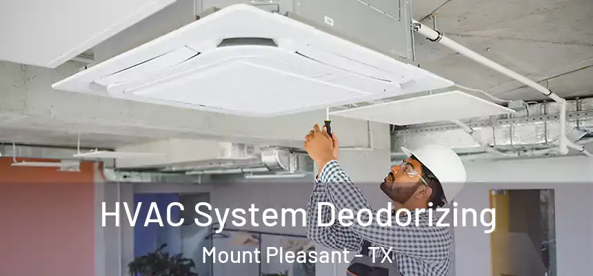  HVAC System Deodorizing Mount Pleasant - TX