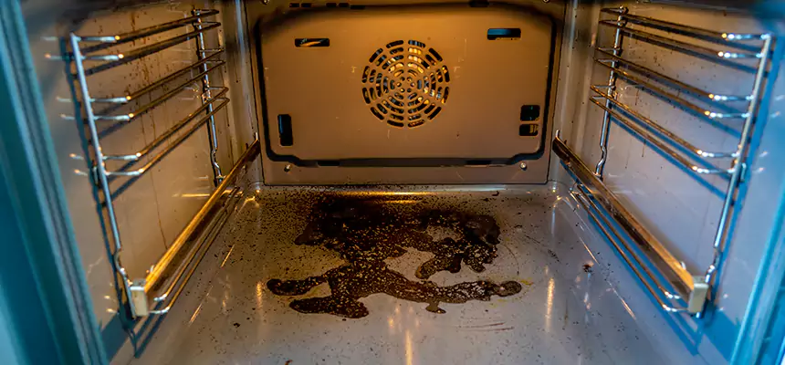 Our Dryer Vent Mold Cleaning Services in Mount Pleasant, TX