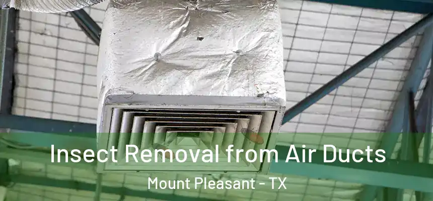 Insect Removal from Air Ducts Mount Pleasant - TX