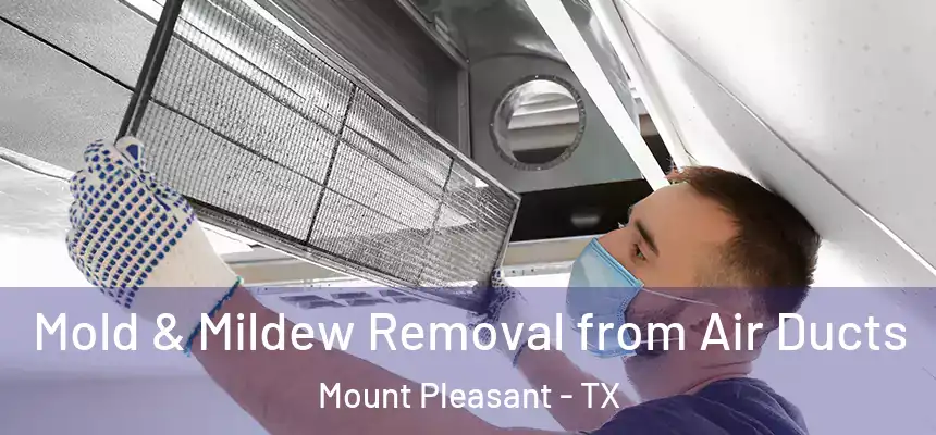 Mold & Mildew Removal from Air Ducts Mount Pleasant - TX
