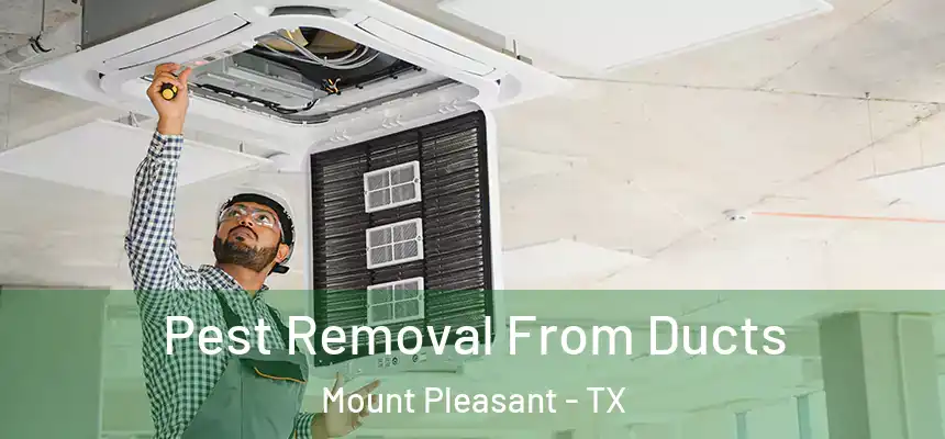  Pest Removal From Ducts Mount Pleasant - TX