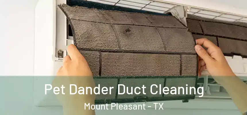  Pet Dander Duct Cleaning Mount Pleasant - TX