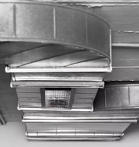 Professional Air Duct Pet Hair Removal in Mount Pleasant, TX