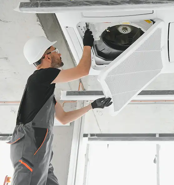 About Air Duct Rodent Removal in Mount Pleasant, TX