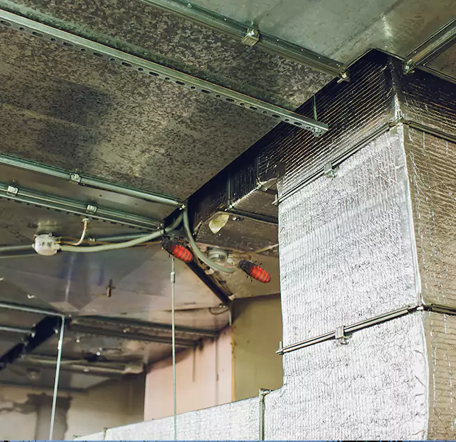 Why Homeowners & Businesses Trust Us in Mount Pleasant, TX?