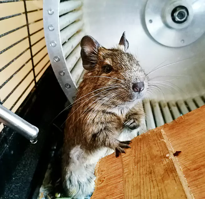 Why Homeowners & Businesses Trust Us Mount Pleasant, TX