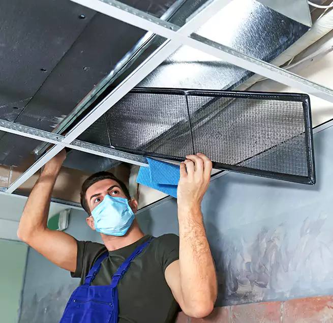 Why Homeowners Businesses Trust Us in Mount Pleasant, TX