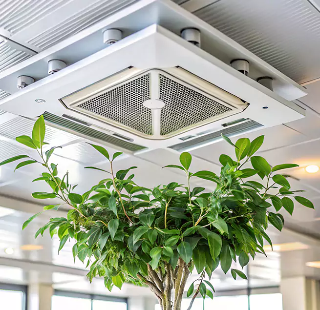 Why Homeowners & Businesses Trust Us in Mount Pleasant, TX